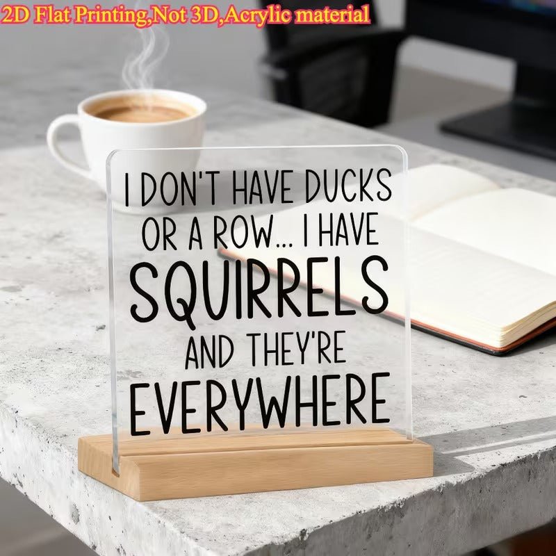 I Don't Have Ducks, I Have Squirrels – Funny Acrylic Desk Sign - TuragStudio