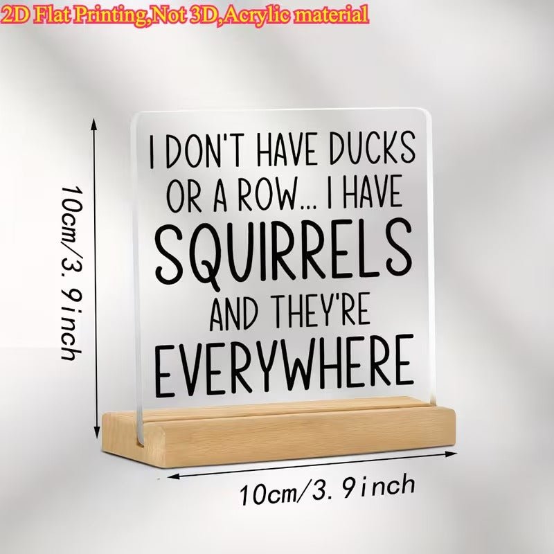I Don't Have Ducks, I Have Squirrels – Funny Acrylic Desk Sign - TuragStudio