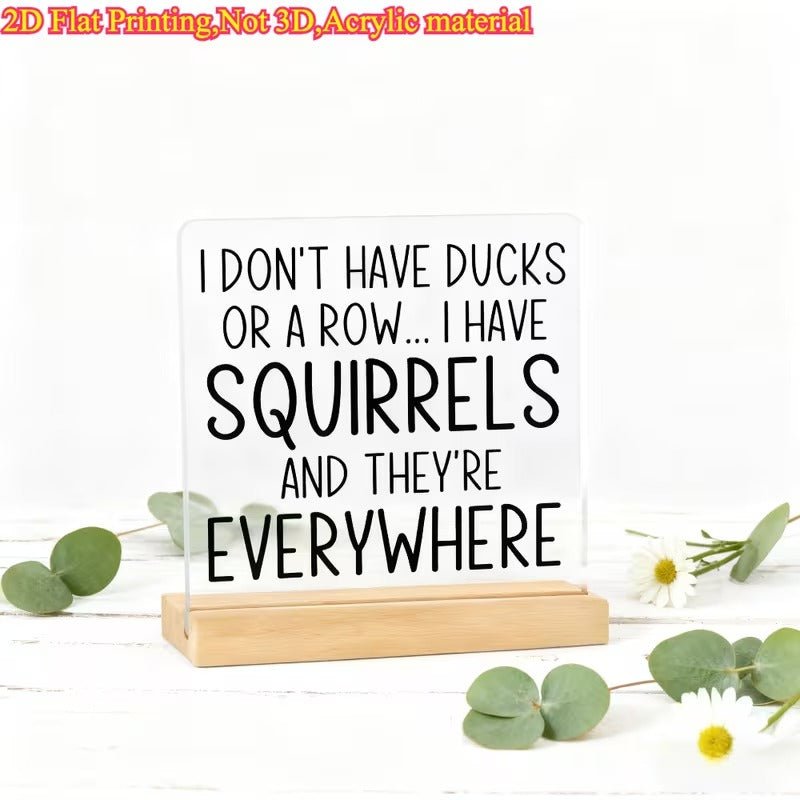I Don't Have Ducks, I Have Squirrels – Funny Acrylic Desk Sign - TuragStudio