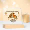 Those We Love Don't Go Away Robin Acrylic Desk Plaque – Memorial Bird Quote Decor - TuragStudio